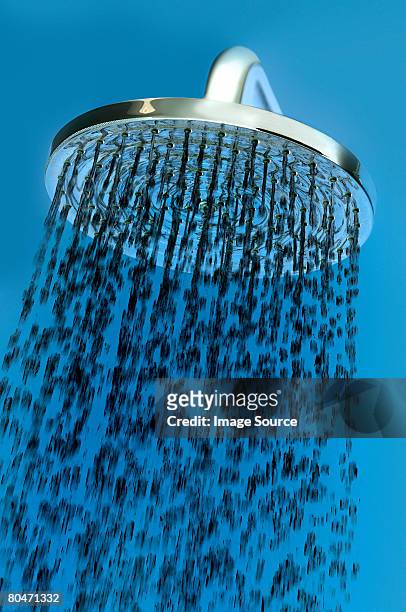 shower head - shower head stock pictures, royalty-free photos & images