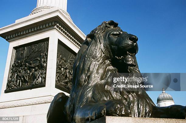 lion at trafalgar square - february 2008 release stock pictures, royalty-free photos & images