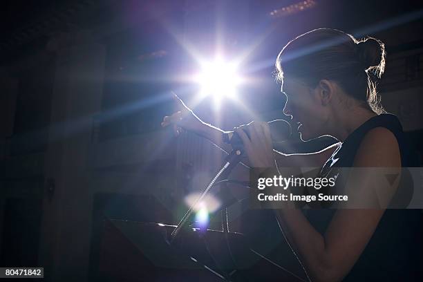 mujer dando un discurso - politician fotografías e imágenes de stock