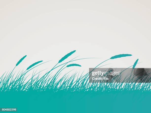 field background - blowing stock illustrations