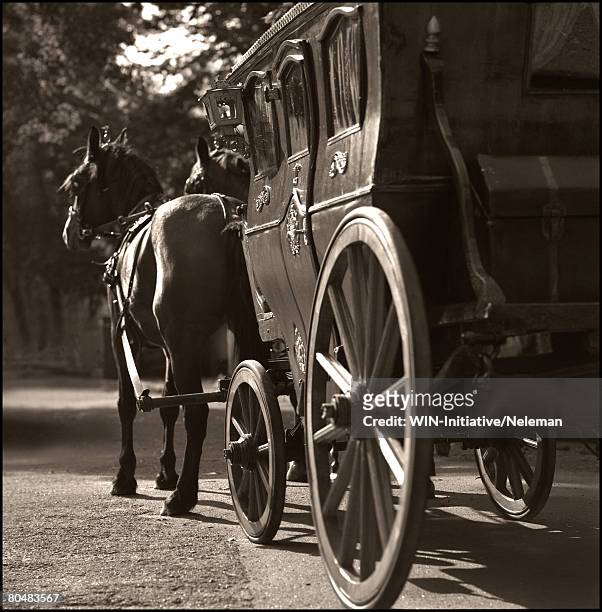 horse and buggy - carriage stock pictures, royalty-free photos & images