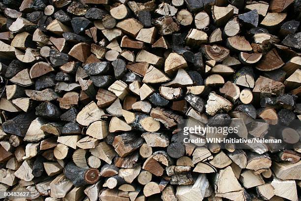 stack of wood, full frame - depósito de madeiras imagens e fotografias de stock