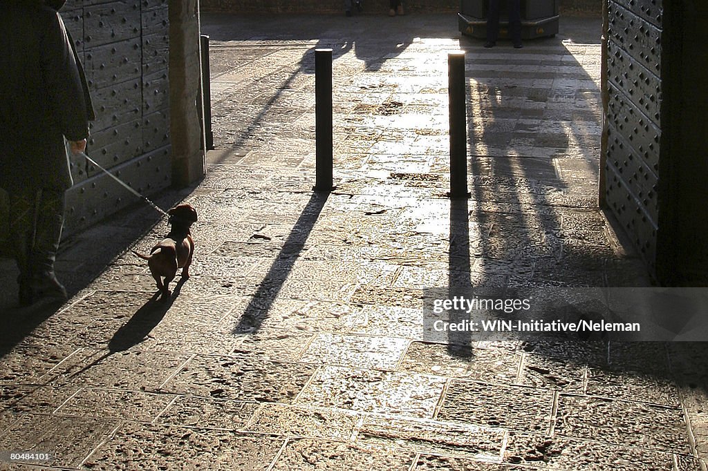 Man walking with dog