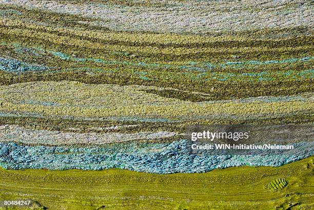 green peat-silt with abstract horizontal lines - géologie photos et images de collection