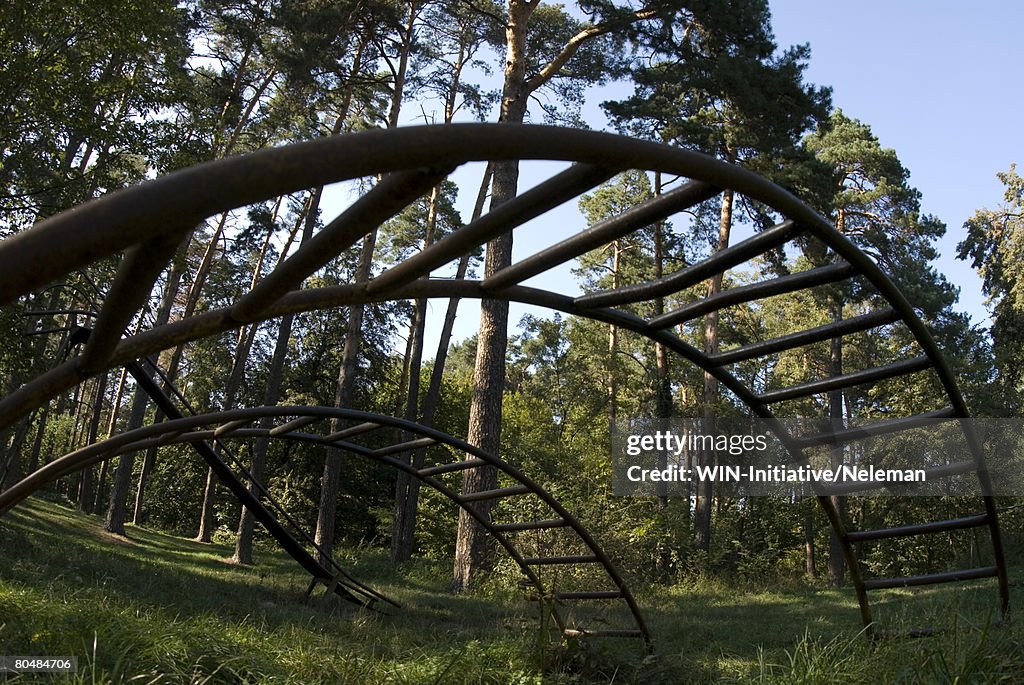 Jungle gym in forest