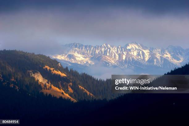 mountain peaks - tatras slovakia stock pictures, royalty-free photos & images