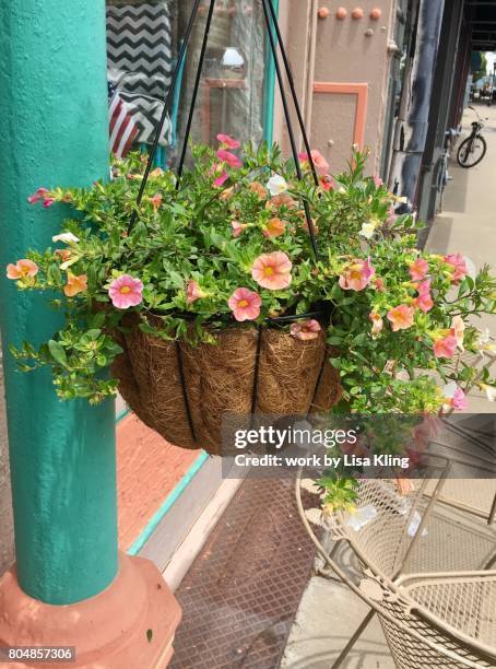 hanging flower basket, peach and teal - paducah stock pictures, royalty-free photos & images