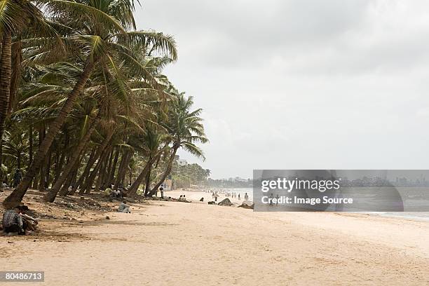 mumbai beach - mumbai beach stock pictures, royalty-free photos & images