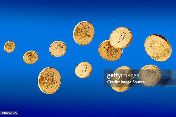 pound coins - gold coin stockfoto's en -beelden