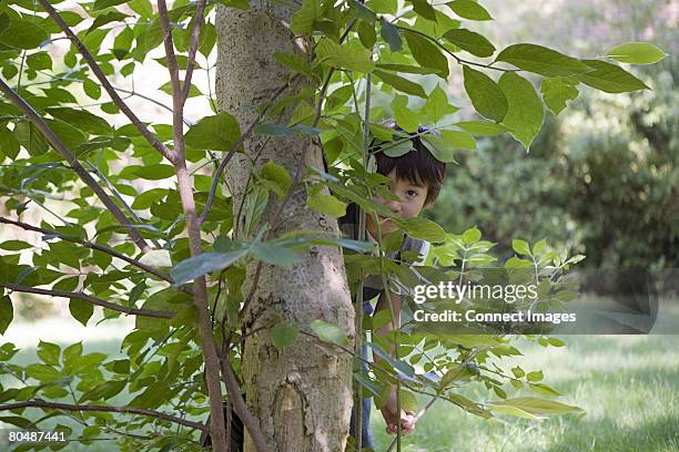 Object Behind Tree Hiding Behind A Tree