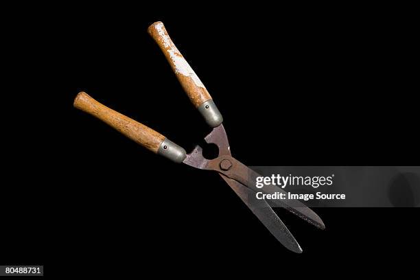 pruning shears - pruning shears stock pictures, royalty-free photos & images