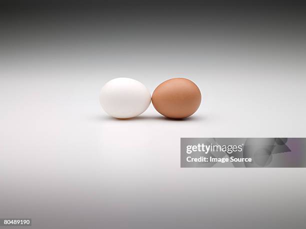 two eggs - two eggs isolated stock pictures, royalty-free photos & images
