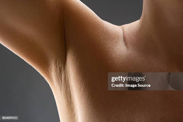 armpit - armpit imagens e fotografias de stock