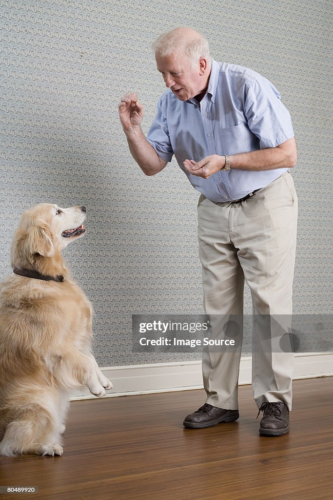 Man and labrador