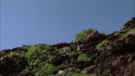 preview clip thumb