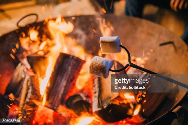 close-up shot of marshmallows being held over a fire - marshmallow stock pictures, royalty-free photos & images