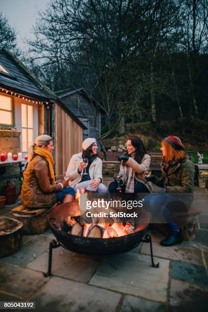 groep van vrouwelijke vrienden verzameld rond een vuurplaats - wijn tuin stockfoto's en -beelden