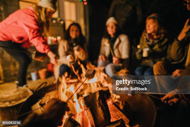 toasting marshmallows on the fire - fire pit stock pictures, royalty-free photos & images