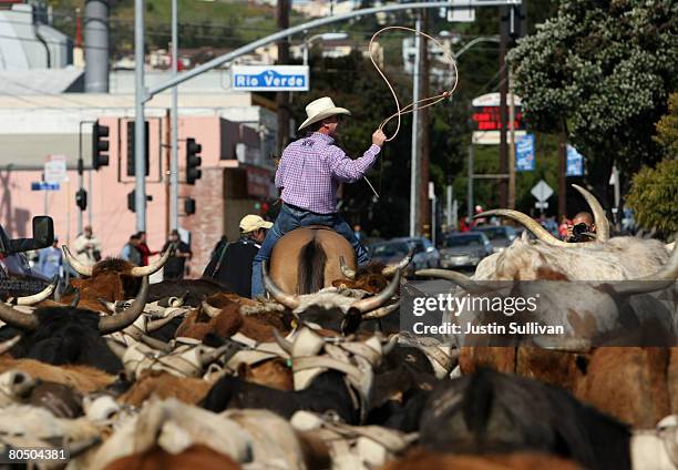 Kick Rope Cow Us Rodeo Bull Riding 3 Photos and Premium High Res Pictures - Getty Images
