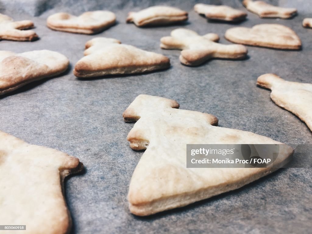 Preparation of gingerbread cookie