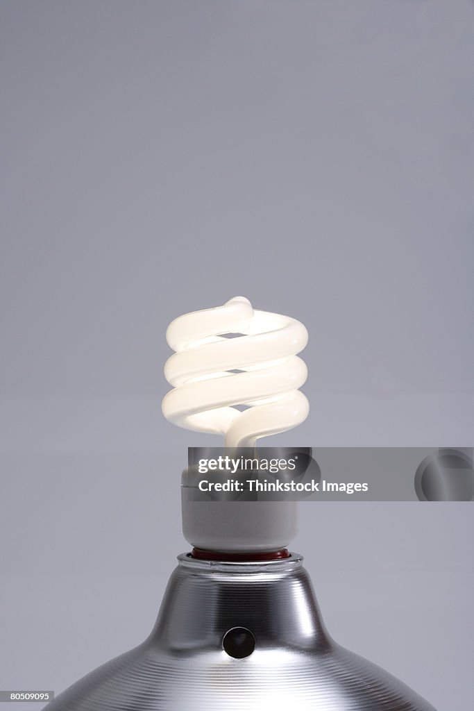 Fluorescent lightbulb in lamp