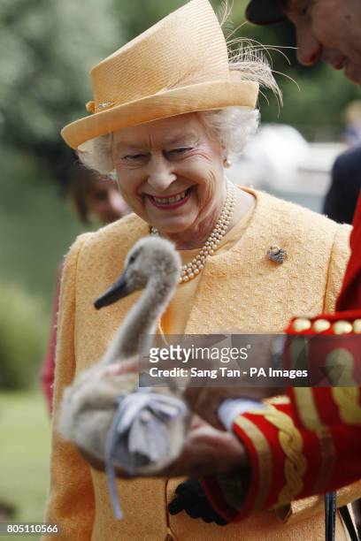 Queen Elizabeth II smiles as she is being shown a orphaned cygnet at Oakley Court on the river bank during the swan upping census on the River Thames...