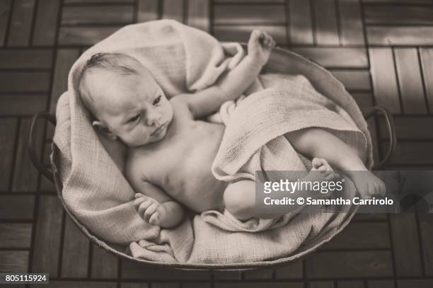 neonato maschio nella cesta. - fotografia da studio stock pictures, royalty-free photos & images