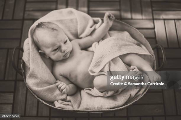 neonato maschio nella cesta. - composizione orizzontale stock pictures, royalty-free photos & images