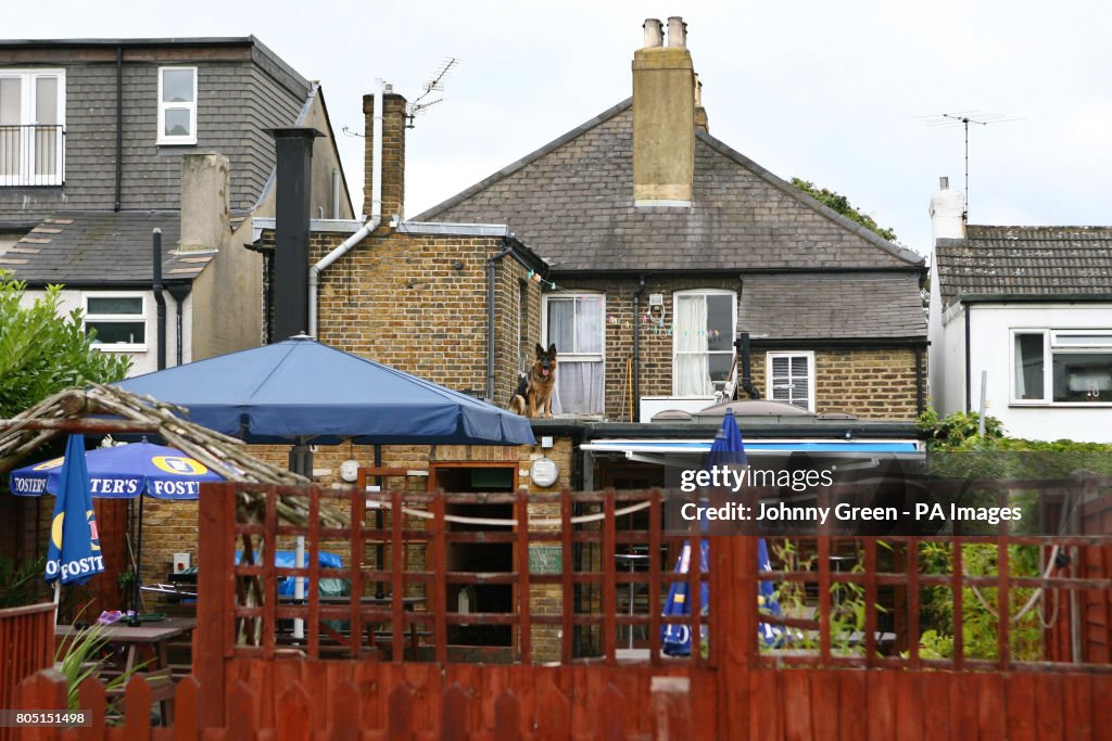 Beer garden stab death