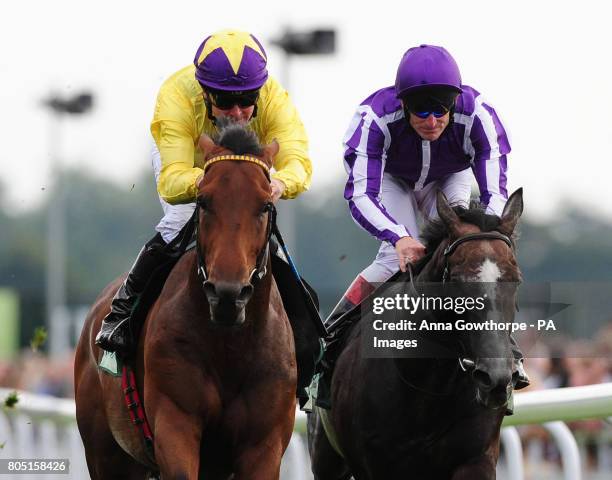 Pessoa Ridden 49 Mastercraftsman Stock Photos, High-Res Pictures, and Images - Getty ...