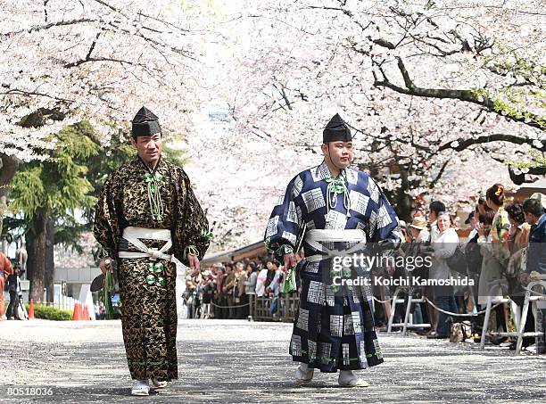 Gyoji, the Sumo judges walks under the cherry blossoms during Yasukuni Shrine Dedication Sumo Tournament at Yasukuni Shrine on April 4, 2008 in...