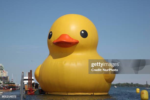 The world's largest rubber duck arrived in Toronto, Ontario, Canada, on June 30 in preparation for the upcoming celebrations for the 150th birthday...