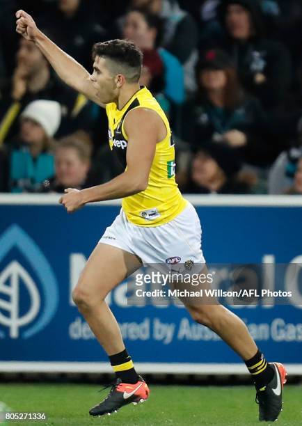 Tyson Stengle of the Tigers celebrates his first league goal during the 2017 AFL round 15 match between the Port Adelaide Power and the Richmond...