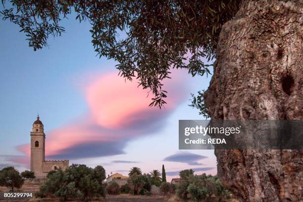 11 Settimo San Pietro Stock Photos, HighRes Pictures, and Images