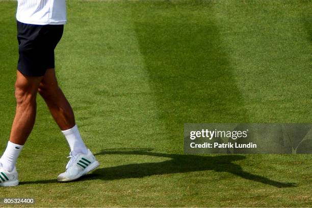 Novak Djokovic of Serbia throw his arms up in the air during the Final match against Gael Monfils of France on day seven during the Aegon...