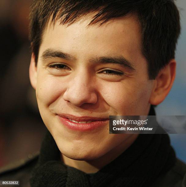 American Idol contestant David Archuleta attends the American Idol Top 12 Party at the Pacific Design Center on March 6, 2008 in West Hollywood,...