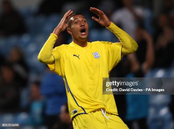 Cardiff's Jay Bothroyd stands dejected after his last minute goal is ruled out for offside during the Carling Cup Third Round match at Villa Park,...