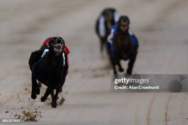 Russelena Reggie win The Star Sports Derby Stayers Final at Towcester greyhound track on July 1, 2017 in Towcester, England.