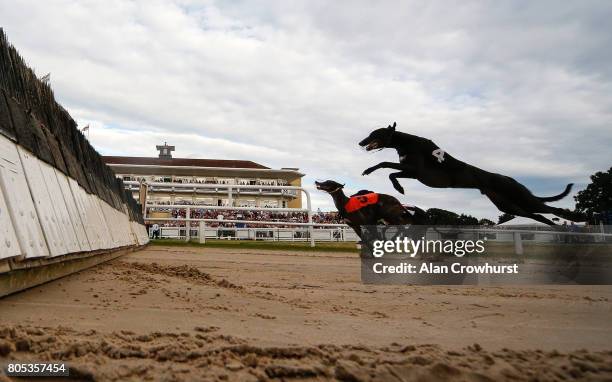 Hurdle race action at Towcester greyhound track on July 1, 2017 in Towcester, England.