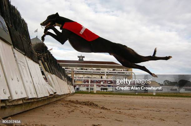 Hurdle race action at Towcester greyhound track on July 1, 2017 in Towcester, England.