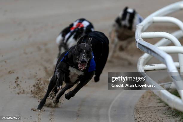 Bubbly Biuebird win The Star Sports Anglo-Irish Invitation at Towcester greyhound track on July 1, 2017 in Towcester, England.