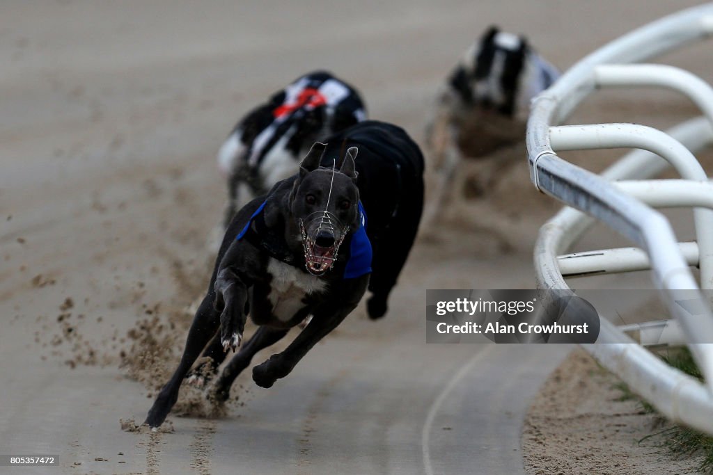 Greyhound Races at Towcester Racecourse - The 2017 Greyhound Derby