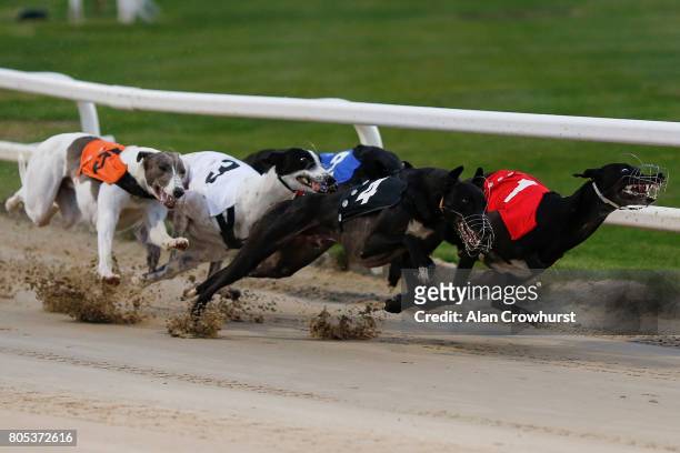 Astute Missile at the first bend before going on to win The Star Sports 2017 English Greyhound Derby Final at Towcester greyhound track on July 1,...