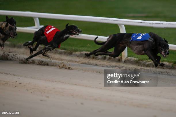 Bruisers Bullet lead at the first bend to win The Star Sports Derby Invitation at Towcester greyhound track on July 1, 2017 in Towcester, England.