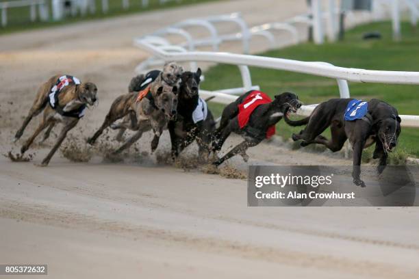 Bruisers Bullet lead at the first bend to win The Star Sports Derby Invitation at Towcester greyhound track on July 1, 2017 in Towcester, England.