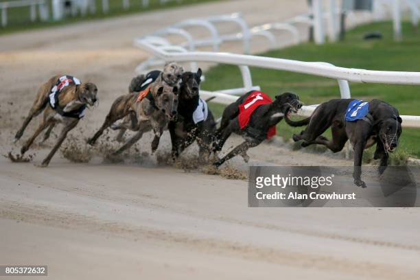 Bruisers Bullet lead at the first bend to win The Star Sports Derby Invitation at Towcester greyhound track on July 1, 2017 in Towcester, England.