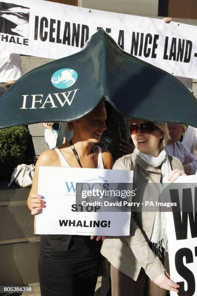 International Fund for Animal Welfare , Whale and Dolphin Conservation Society , and other animal welfare groups Point the Finger of Blame' at the...