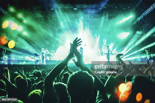 cheering crowd at a concert. - bash 2015 concert imagens e fotografias de stock