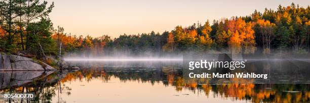 calm lake in the forest - panoramic stock pictures, royalty-free photos & images