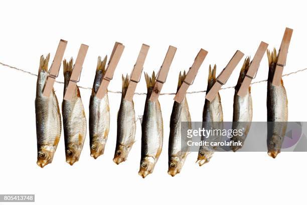 hanging fishes - carolafink stock pictures, royalty-free photos & images